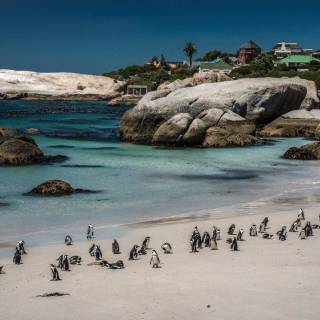 Western Cape wallpaper