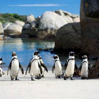 Western Cape wallpaper