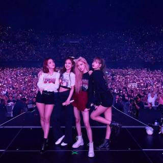 Blackpink purple wallpaper