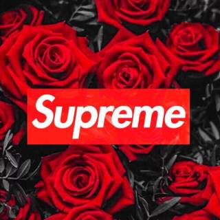 Supreme iPhone 8 wallpaper