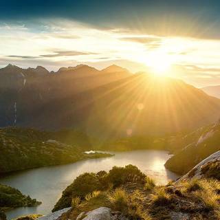 Sunshine phone wallpaper