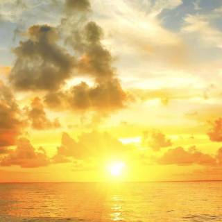 Sunshine phone wallpaper