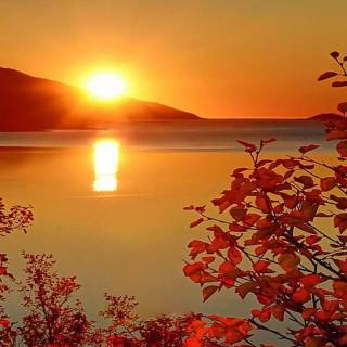 Sunshine phone wallpaper