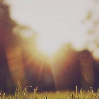 Sunshine phone wallpaper