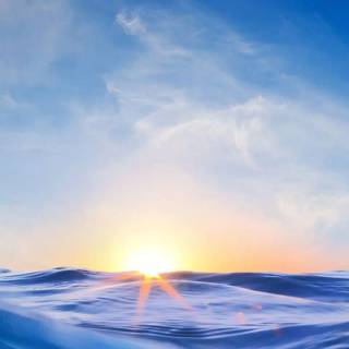 Sunshine phone wallpaper