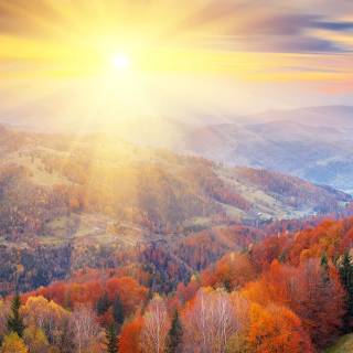 Sunshine phone wallpaper