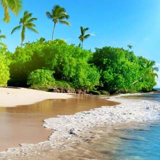 Sunshine phone wallpaper