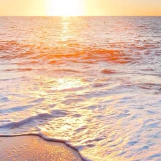 Sunset iPhone X wallpaper