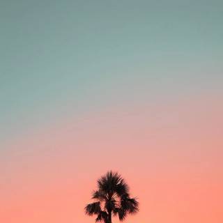Sunset iPhone X wallpaper