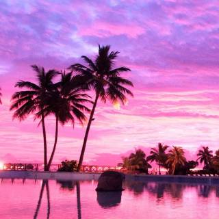 Sunset iPhone X wallpaper