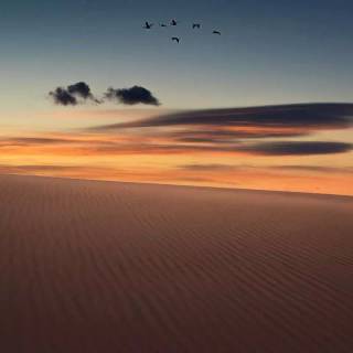 Sunset iPhone X wallpaper