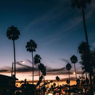 Sunset iPhone X wallpaper