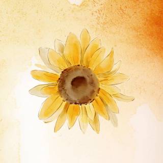 Sunflowers phone wallpaper