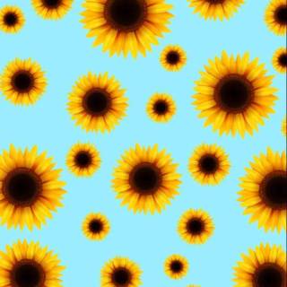 Sunflowers phone wallpaper