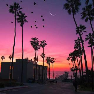 Sunset beach phone wallpaper