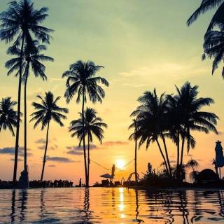 Sunset beach phone wallpaper