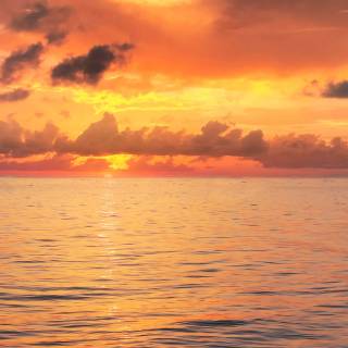 Sunset beach phone wallpaper