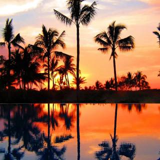 Sunset beach phone wallpaper