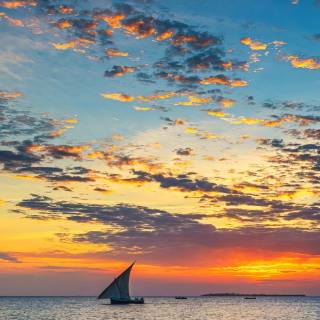 Sunset beach phone wallpaper