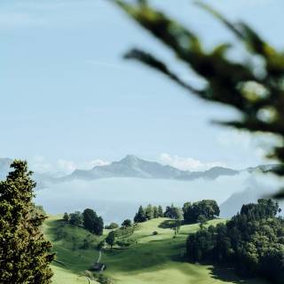 Keinemusik wallpaper