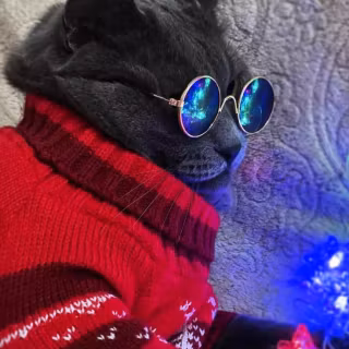 Christmas cat iPhone wallpaper