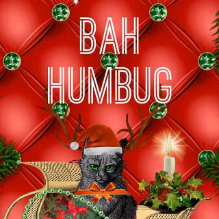 Christmas cat iPhone wallpaper