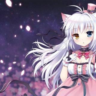 Anime girl cat 1920x1080 wallpaper