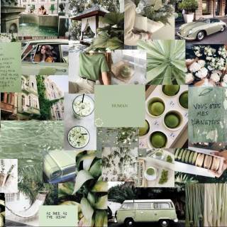 Sage green beige aesthetic collage wallpaper
