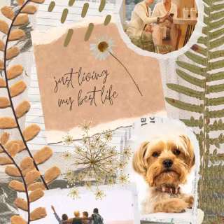 Sage green beige aesthetic collage wallpaper