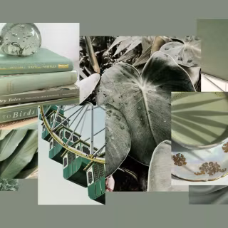 Sage green beige aesthetic collage wallpaper