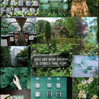 Sage green beige aesthetic collage wallpaper