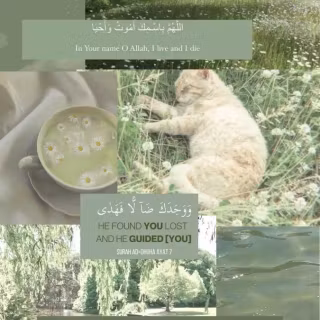 Sage green beige aesthetic collage wallpaper