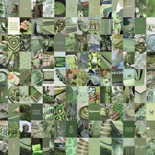 Sage green beige aesthetic collage wallpaper