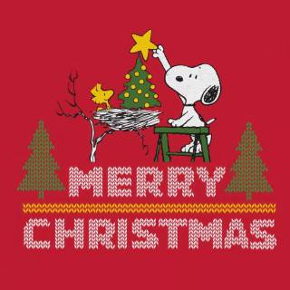 Snoopy cute wallpaper