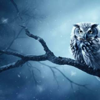 4k dark night wallpaper