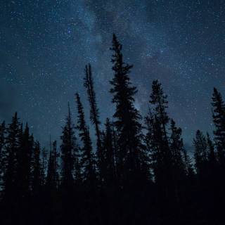 4k dark night wallpaper