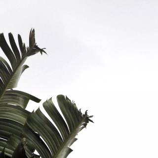 4k minimalist Mac wallpaper