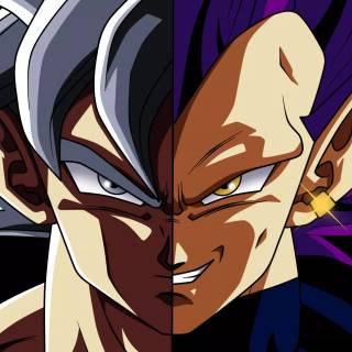 Goku Vegeta desktop wallpaper