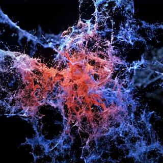 4k particles wallpaper