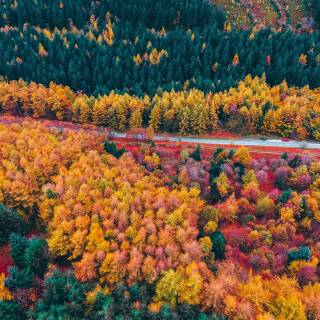 4k fall season wallpaper