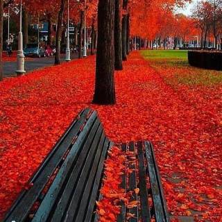 Beautiful autumn wallpaper