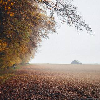 4k fall season wallpaper