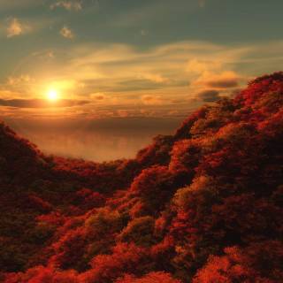 4k fall season wallpaper