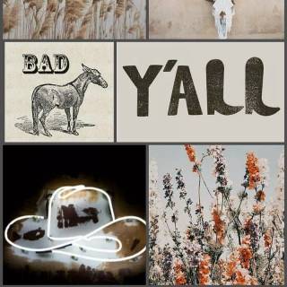 Cowgirl iPhone wallpaper