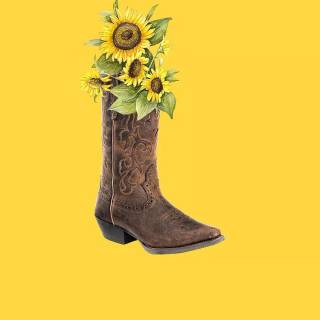 Cowgirl iPhone wallpaper