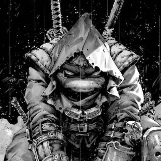 Leo Teenage Mutant Ninja Turtles iPhone wallpaper