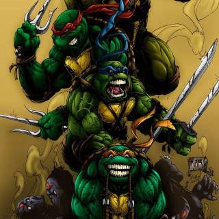 Leo Teenage Mutant Ninja Turtles iPhone wallpaper