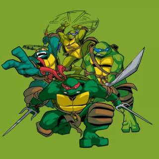 Leo Teenage Mutant Ninja Turtles iPhone wallpaper