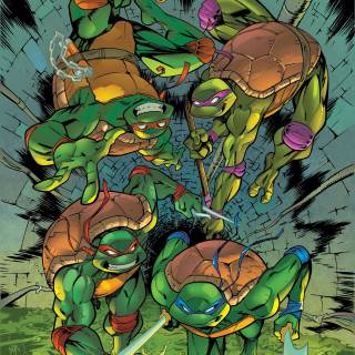 Leo Teenage Mutant Ninja Turtles iPhone wallpaper