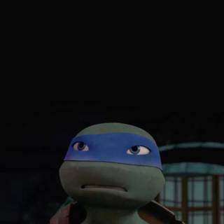 Leo Teenage Mutant Ninja Turtles iPhone wallpaper